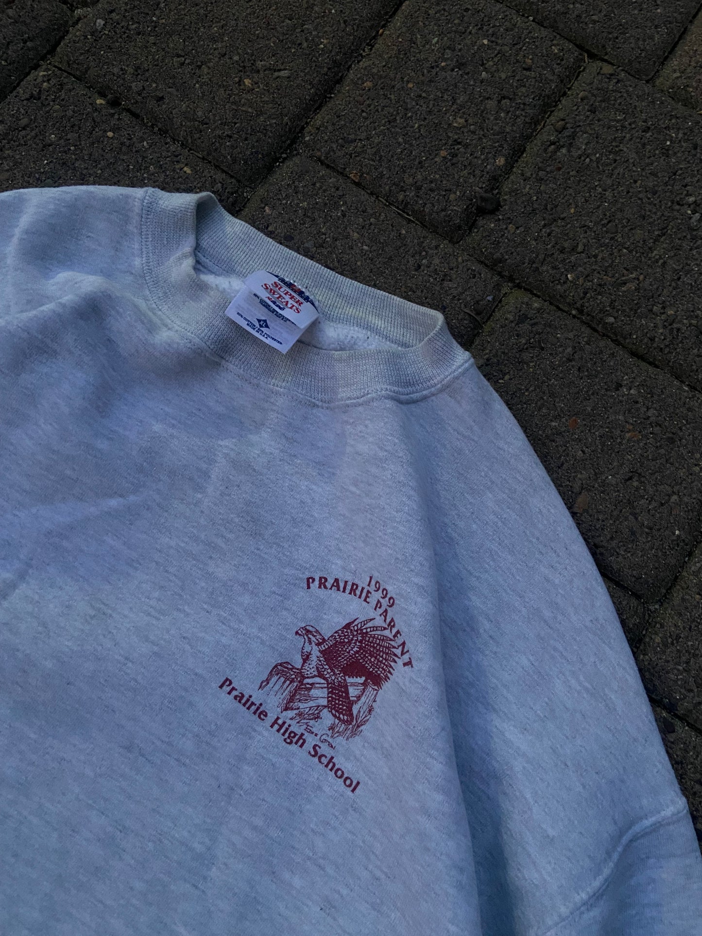 (XL/L) 90s Prairie family crewneck