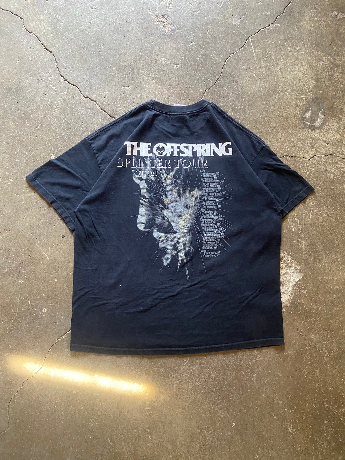 (XL) 2004 The Offspring Splinter Tour Grail