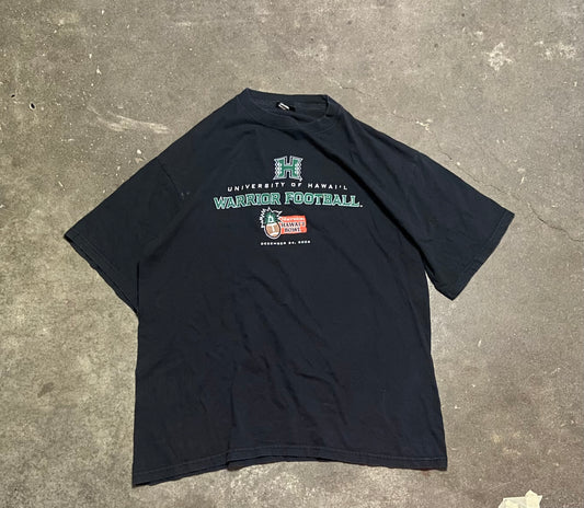 (2XL) 00s Hawaii tee