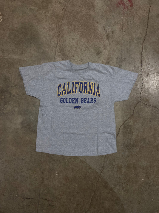 (L-XL) Cal Tee